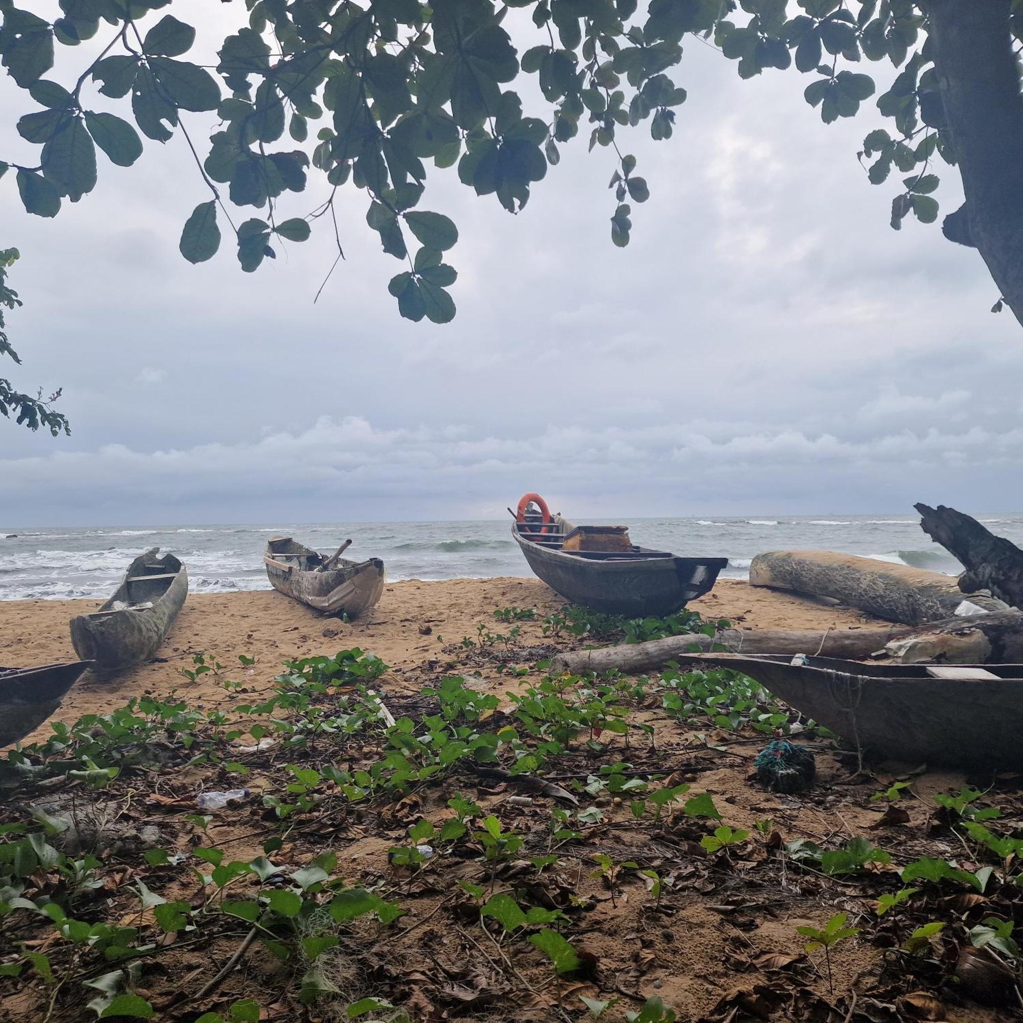 La Villa Lou, Musee Des Arts Grand Batangua Kribi Exteriör bild
