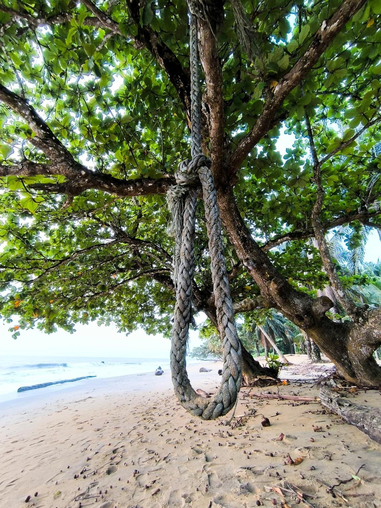 La Villa Lou, Musee Des Arts Grand Batangua Kribi Exteriör bild