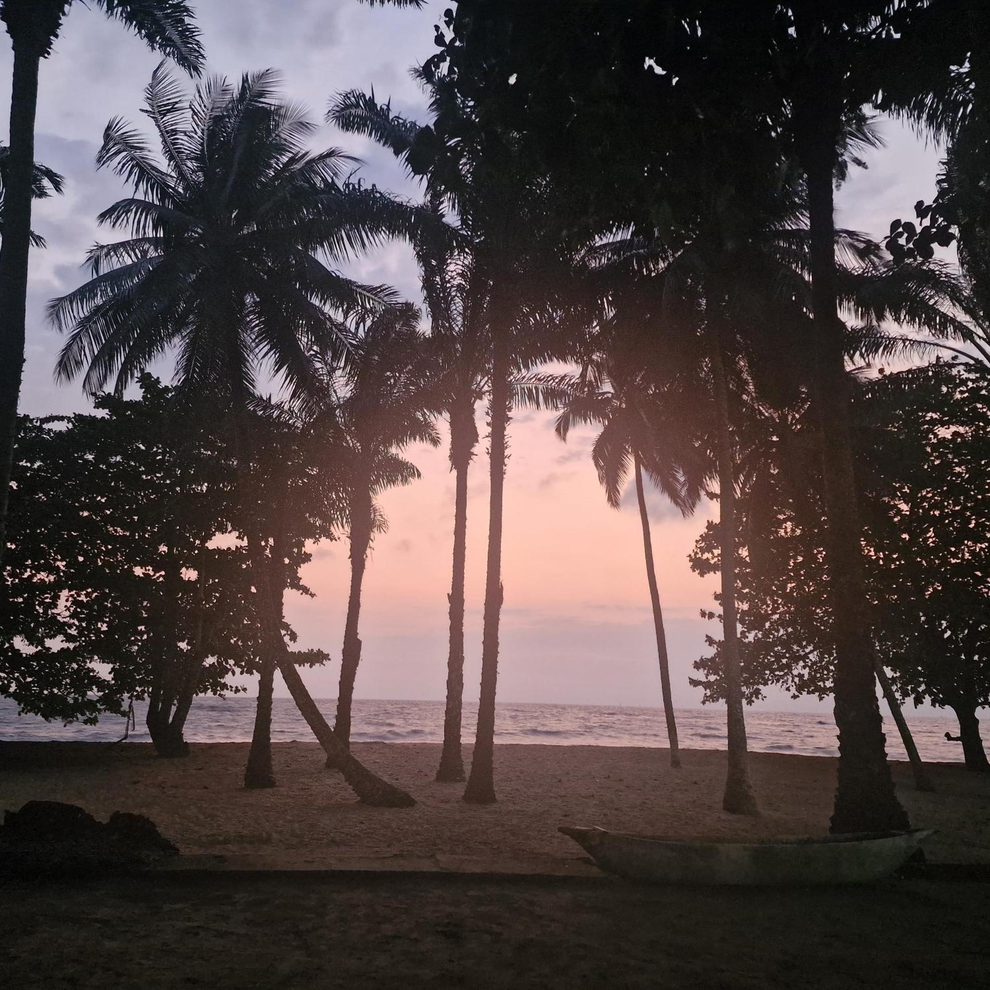 La Villa Lou, Musee Des Arts Grand Batangua Kribi Exteriör bild